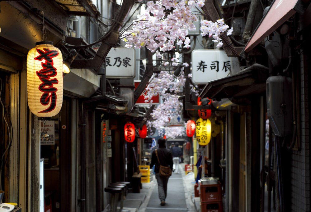 &amp; choose your own adventure travel!